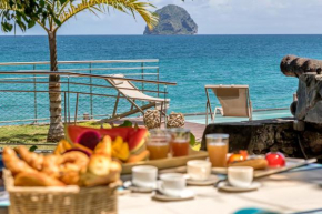 La Sirene du Diamant, villa de luxe sur la plage,18 personnes